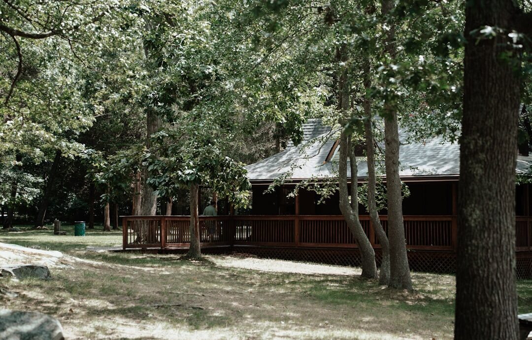 Wooden cabin nestled among trees with a porch.